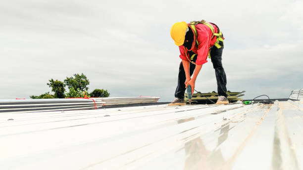 Best Roof Coating and Sealing  in Lovington, IL