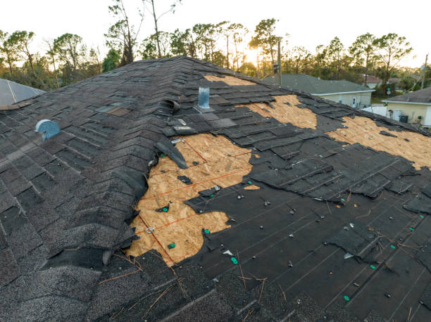 Best Cold Roofs  in Lovington, IL